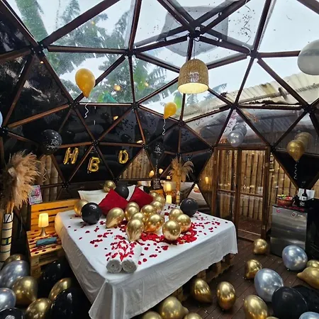 Happy Glamping Quindio - Tipo Domo Traslucido Hotel Calarca Exterior photo
