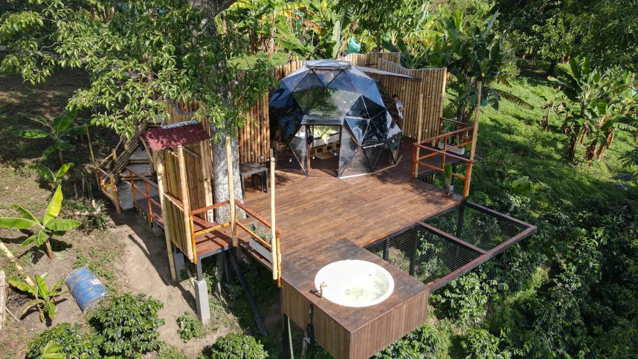 Campsite Happy Glamping Quindio - Tipo Domo Traslucido *