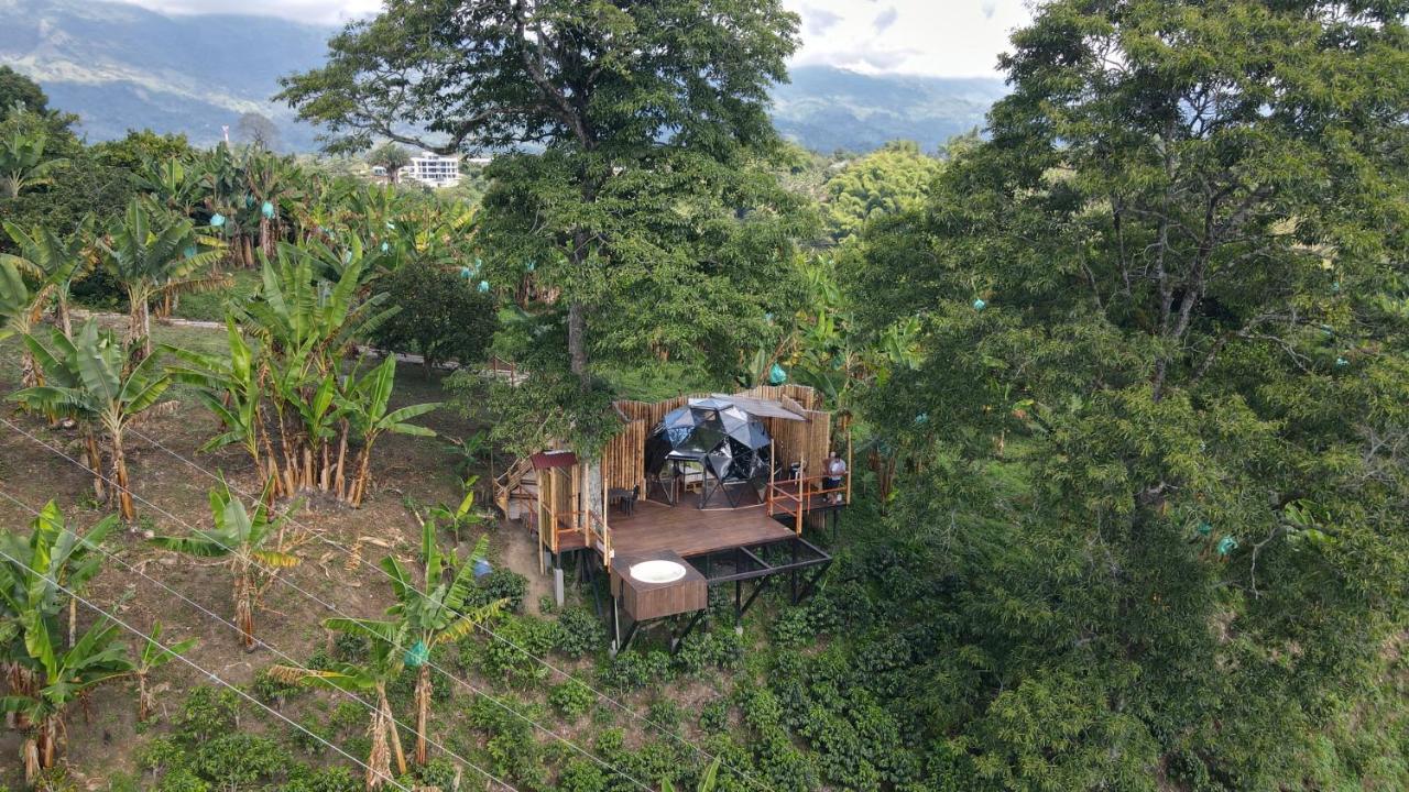 Campsite Happy Glamping Quindio - Tipo Domo Traslucido Calarca