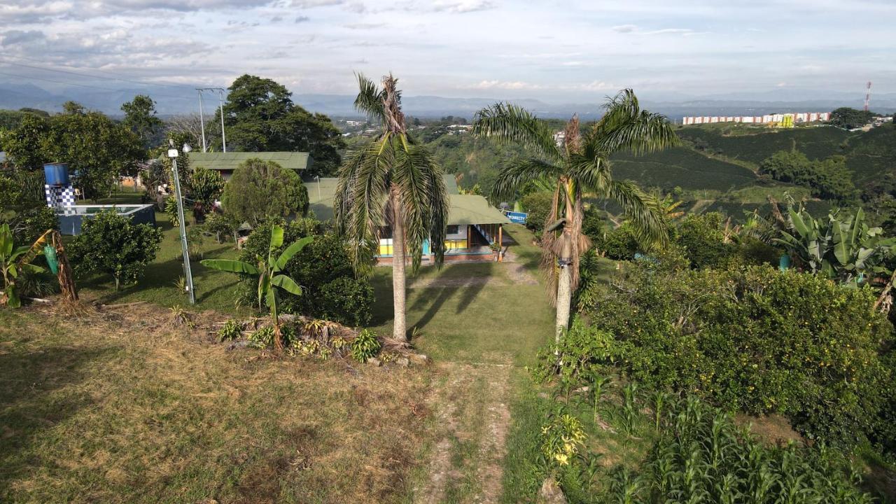 Happy Glamping Quindio - Tipo Domo Traslucido