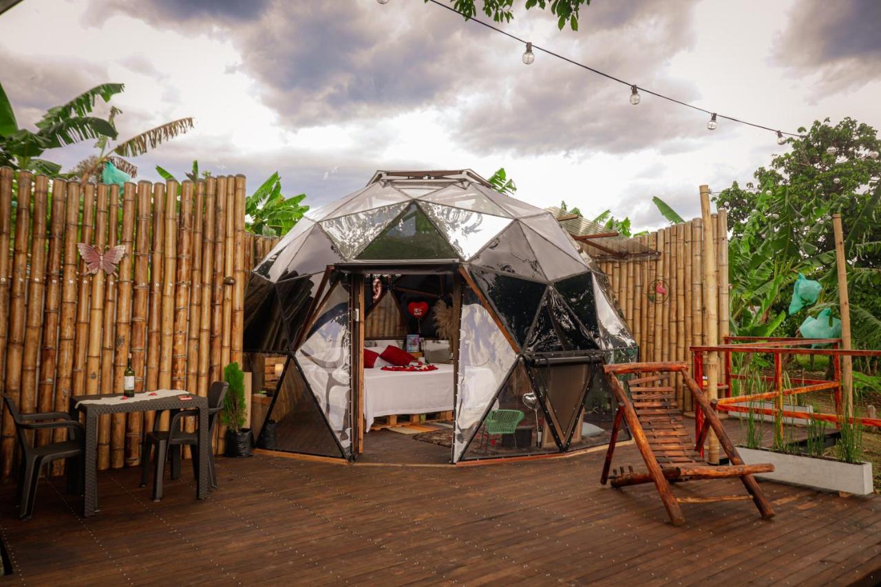 Happy Glamping Quindio - Tipo Domo Traslucido