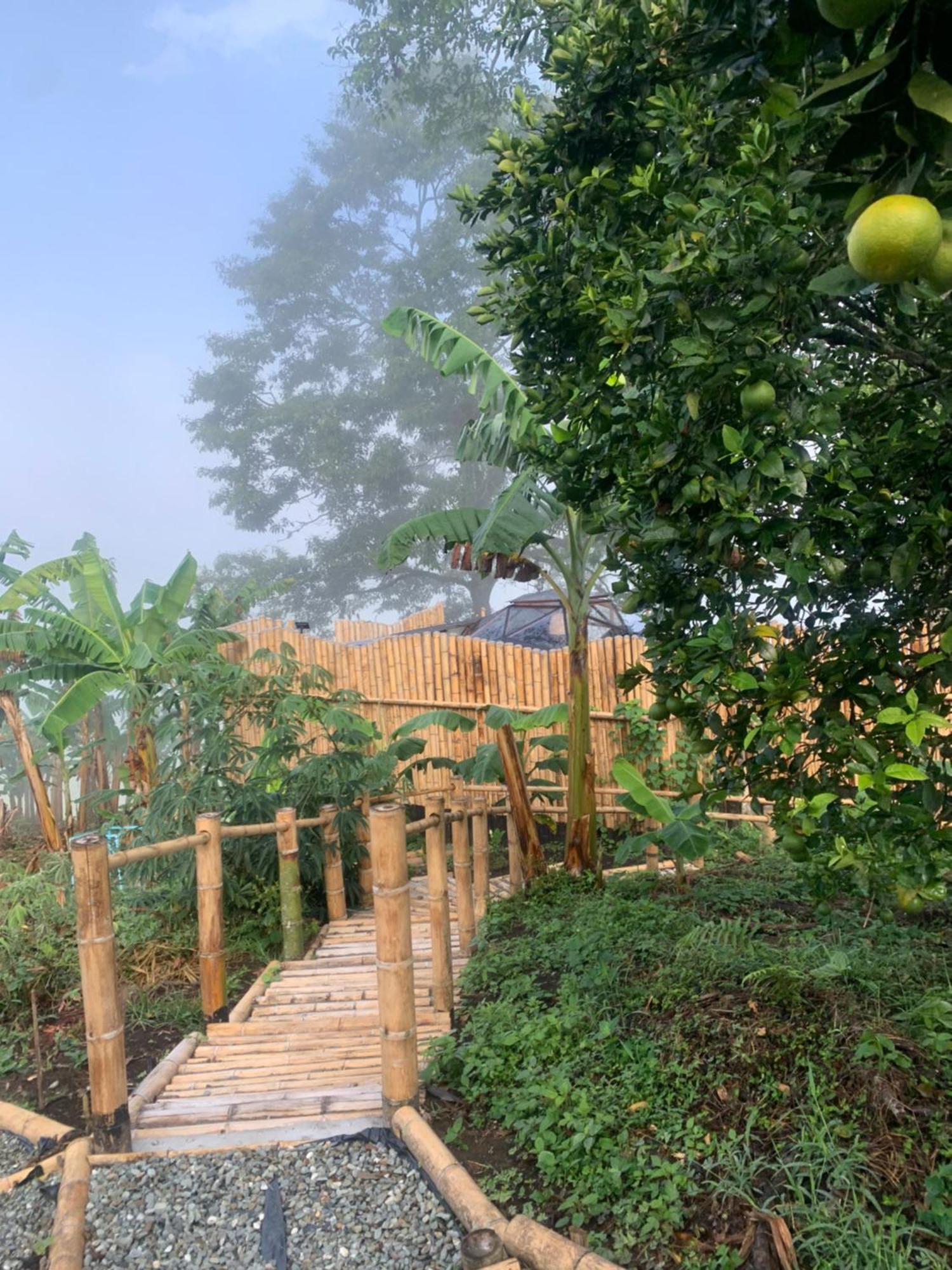 Campsite Happy Glamping Quindio - Tipo Domo Traslucido