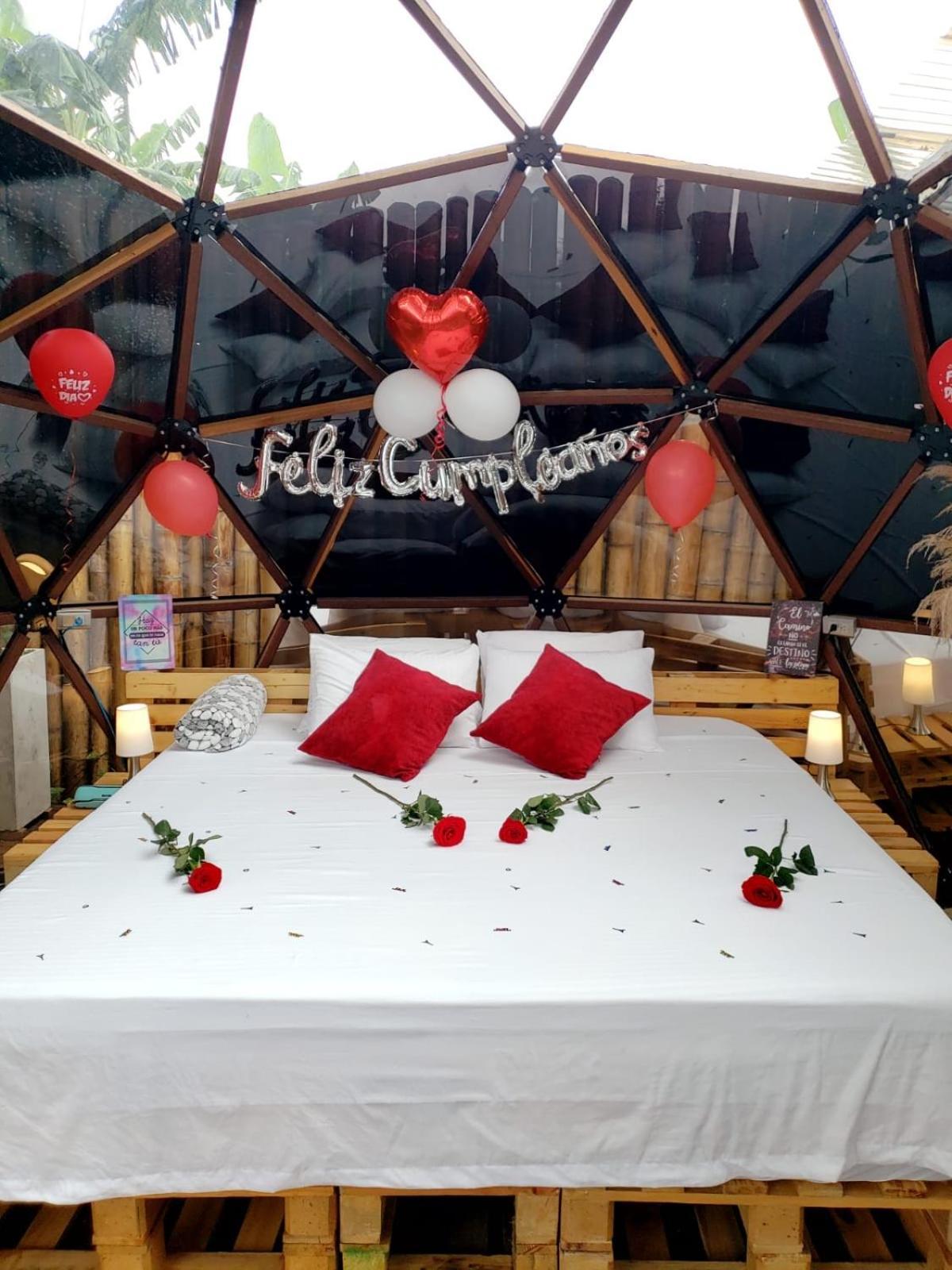 Happy Glamping Quindio - Tipo Domo Traslucido