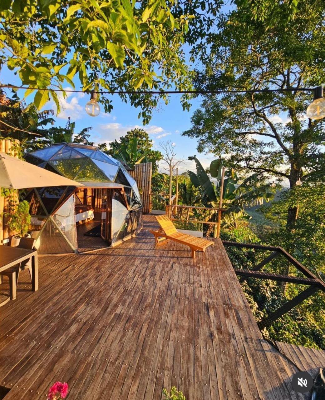 Campsite Happy Glamping Quindio - Tipo Domo Traslucido *